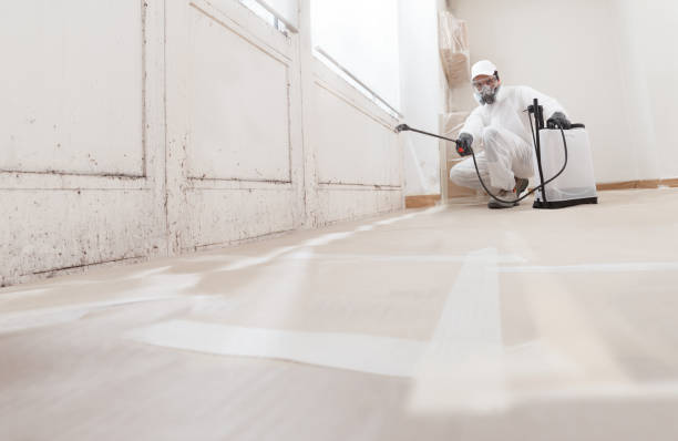 24/7 Emergency Attic Mold Remediation experts in Nokesville, VA